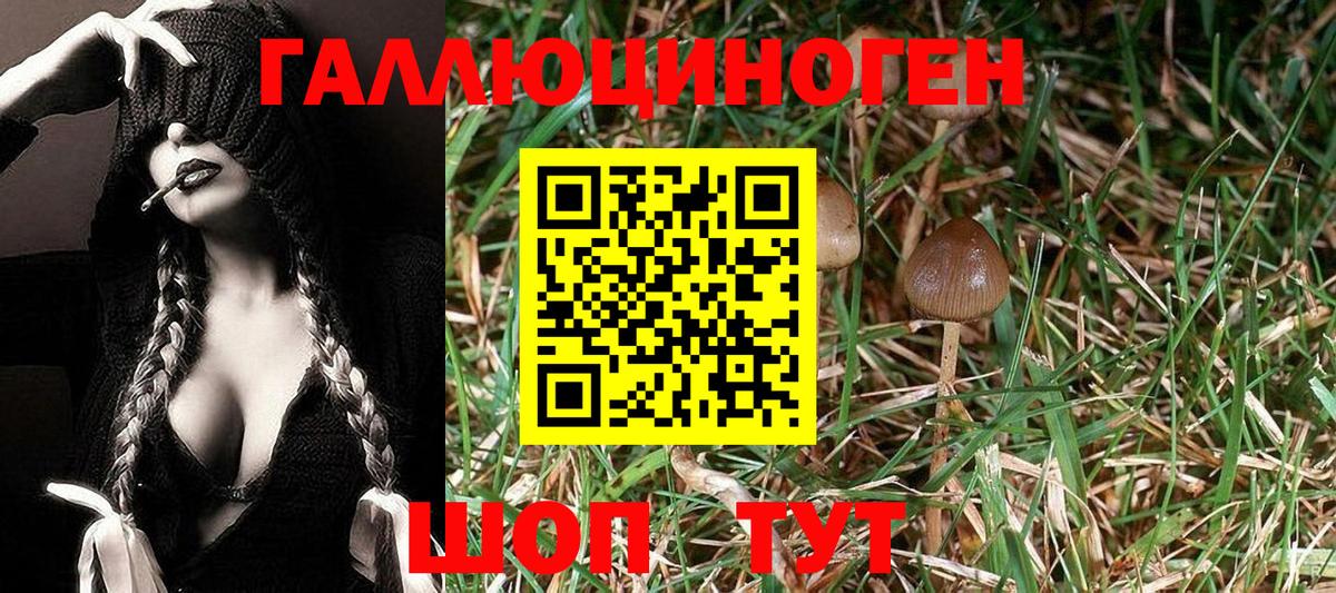 Урай  Псилоцибиновые грибы MAGIC MUSHROOMS  Галлюциногенные грибы Psilocybe  Вход с VPN 