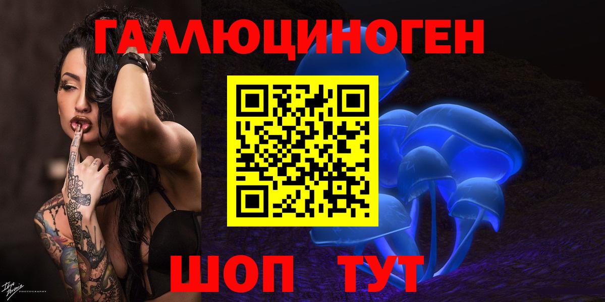 Псилоцибиновые грибы Cubensis Урай